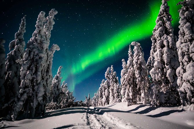 Private Northern Lights Photography Tour in Rovaniemi - Common questions