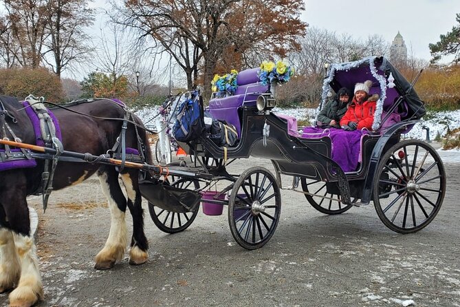 Private NYC Central Park Horse Carriage Ride (Guided) Since 1965 - Last Words