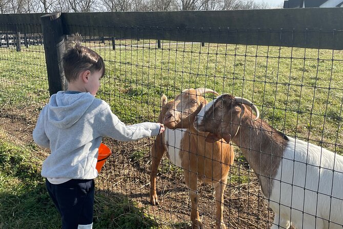 Private Picnic With Goats in Lexington - Cancellation Policy