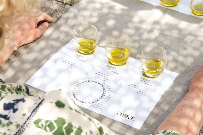 Private Provence Olive Estate Tour and Olive Oil Workshop - Questions and Contact Information