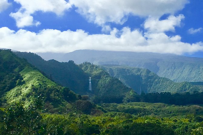 Private Road to Hana Tour - Common questions