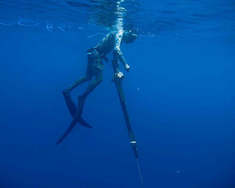 Private Sayulita Spearfishing: Inshore Adventure All Levels - Common questions