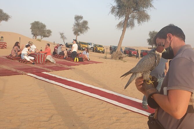 Private Setup, Falcon Photo , Dinner, Sunset in Middle of Desert - Making Memories in the Dunes