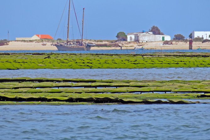 Private Sightseeing Boat Tour in Ria Formosa at Olhão - Contact Information