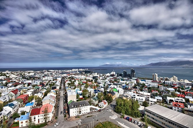 Private Sightseeing Tour in Reykjavik - Last Words