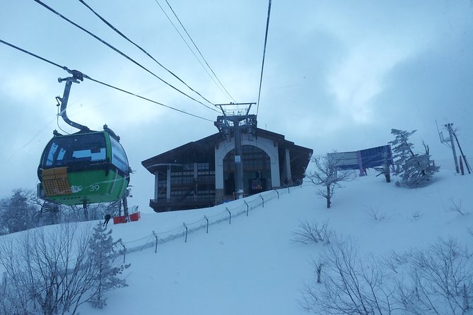 PRIVATE SKI TOUR in Pyeongchang Olympic Ski Resort(More Members Less Cost) - Ideal Group Outing Opportunity