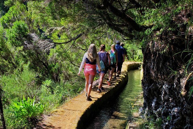 Private Small Group Full Day 4x4 Tour in Northwest Madeira - Last Words