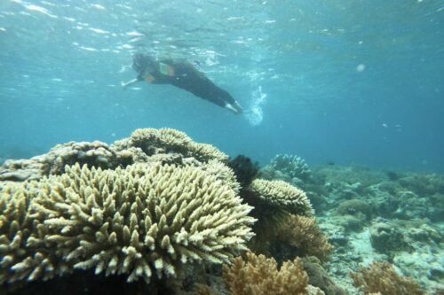 Private Snorkeling Gili Gede, Gili Asahan, Gili Goleng Tour - Common questions