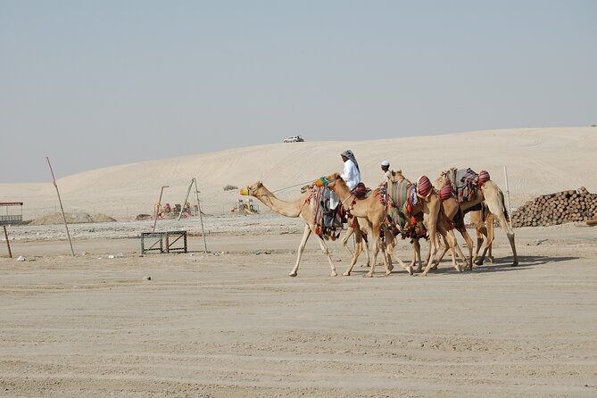 Private South Coast Tour With Camel Ride - Last Words