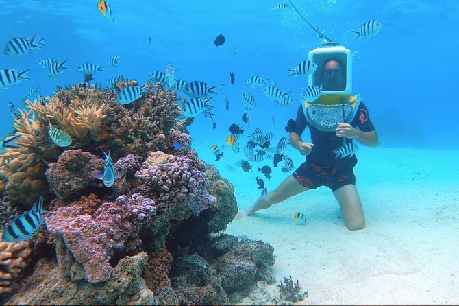 Private Tour: Aqua Safari Scuba Diving - Last Words