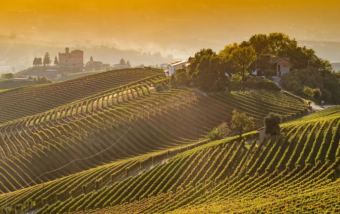 Private Tour: Barolo Wine Tasting in Langhe Area From Torino - Common questions