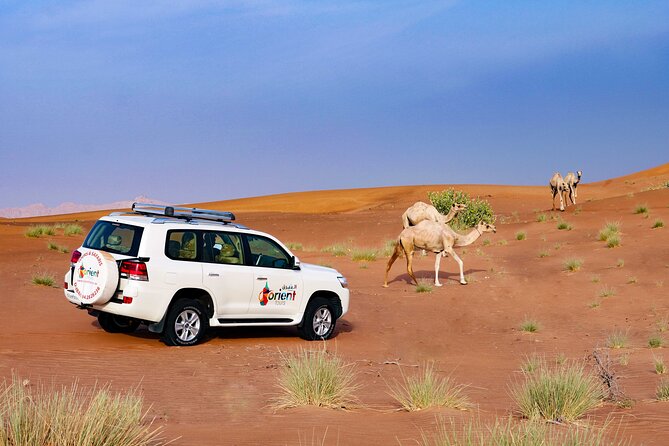 Private Tour : Dubai Desert 4x4 Safari With Camp Activities & BBQ Dinner - Last Words