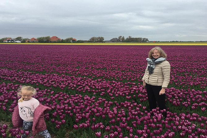 Private Tour Keukenhof Tulip Fields of Holland - Tour Operator Details