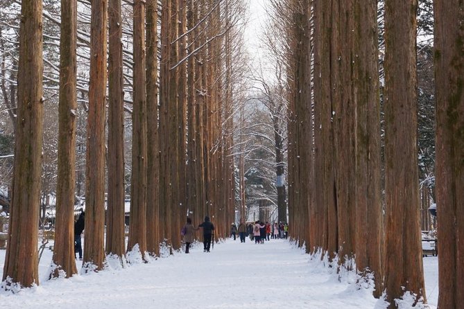 [Private Tour] Nami Island & Ski (Ski Lesson, Equip & Clothing Included) - Last Words