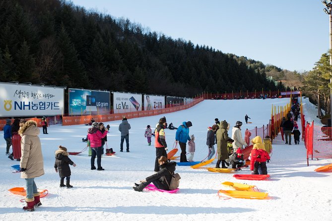 [Private Tour] Nami Island & Snow Viewing and Snow Sled (More Members Less Cost) - Common questions