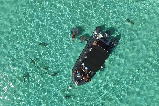 Private Tour of the Tahitis Lagoon by Boat Until 8 Pax - Contact and Pricing Details