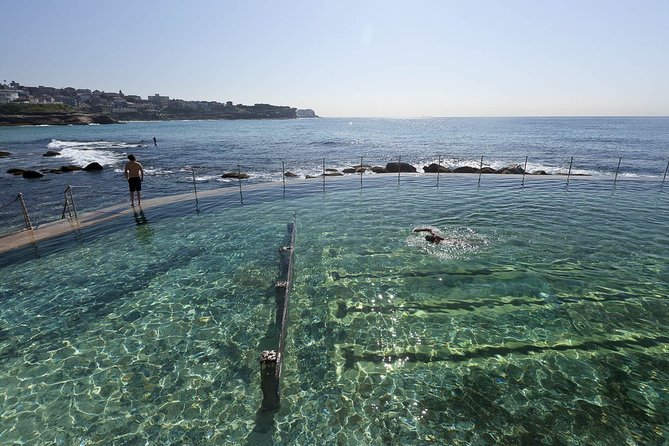 Private Tour: Sydney Beaches, Baths & Rockpools - Last Words