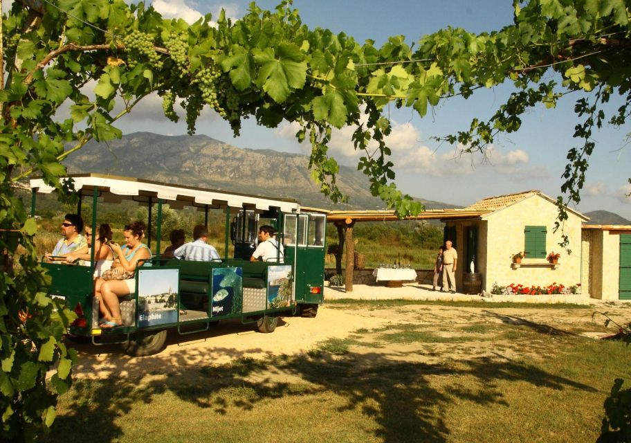Private Tour to Konavle Valley With Wine Tasting - Common questions