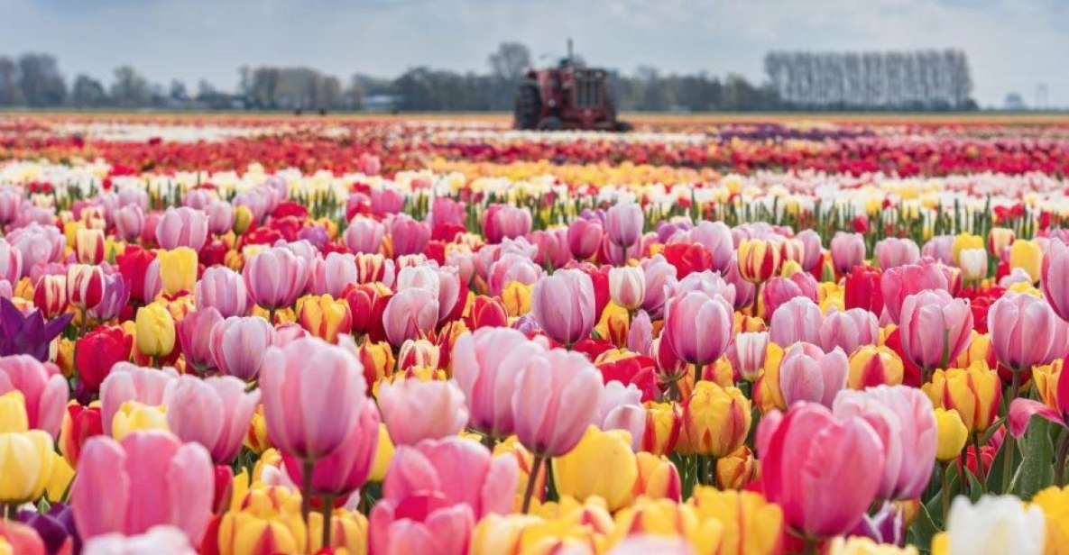 Private Tour to Tulip Experience, Keukenhof & Giethoorn - Keukenhof Overview