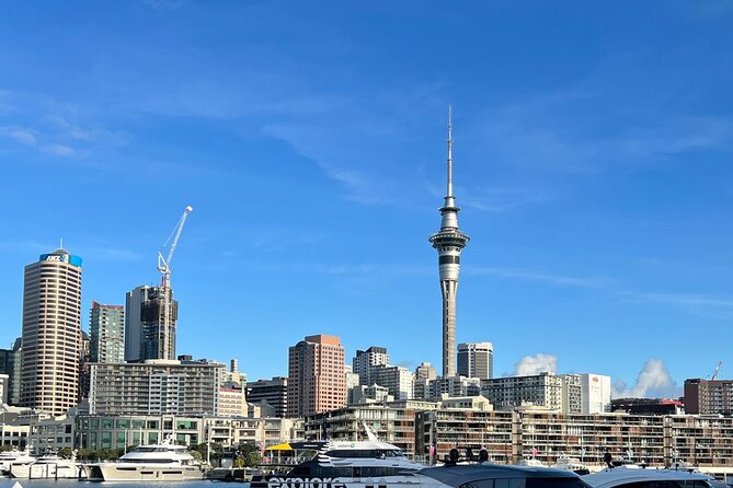 Private Transfer From Auckland Domestic Airport To Auckland City - Last Words