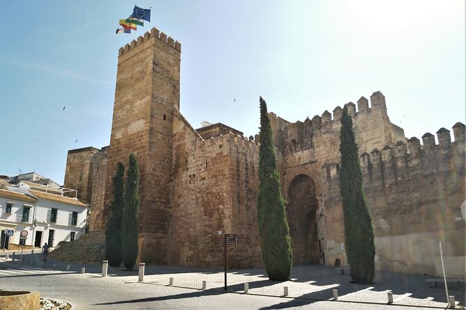 Private Trip to Carmona From Seville: 5000 Years of History - Contact: Customer Support Information