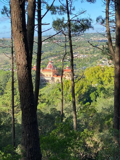 Private Tuk Tuk Tour Around Sintra - Tuk Tuk Tour Highlights