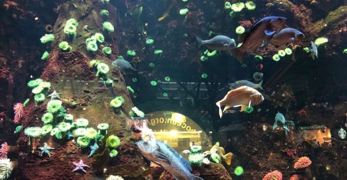 Private Vancouver Aquarium and Bloedel Conservatory Tour - Last Words
