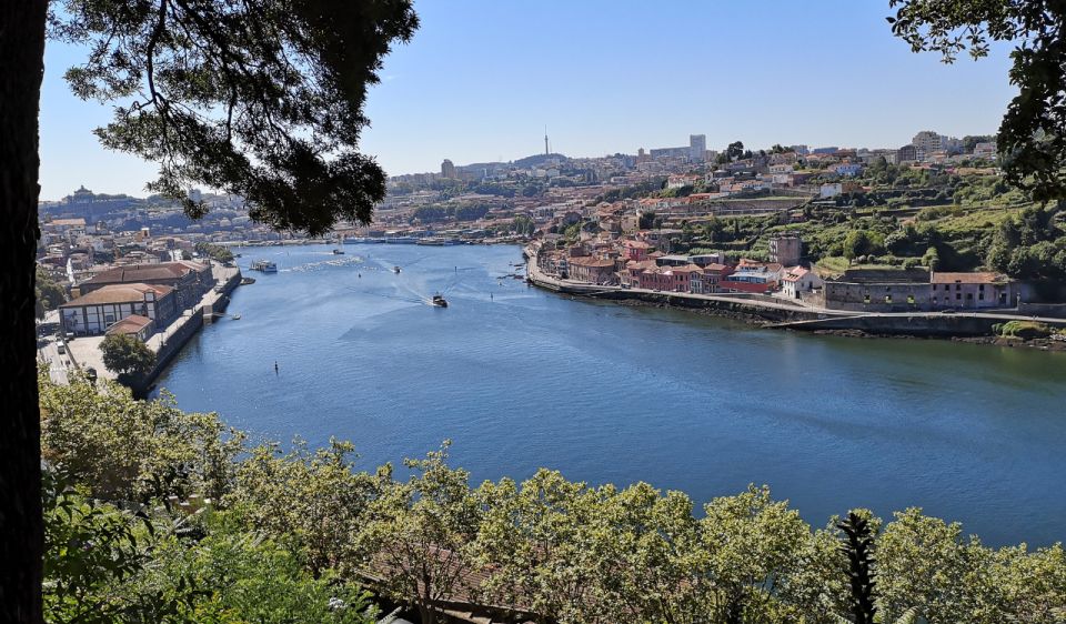 Private Walking Tour of Porto - Immersive Experience