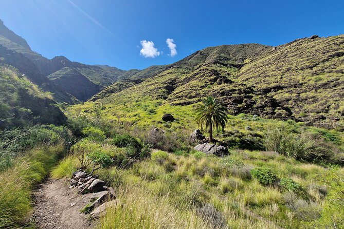 Private Wild Picnic in the North West of Gran Canaria - Last Words