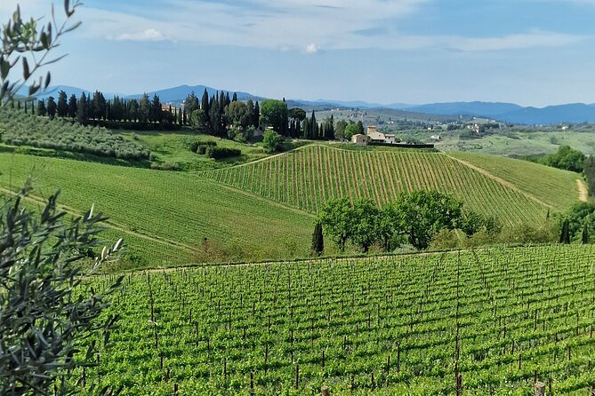 PRIVATE WINE TOURS VIP Wines and Wineries of Chianti Classico - Last Words