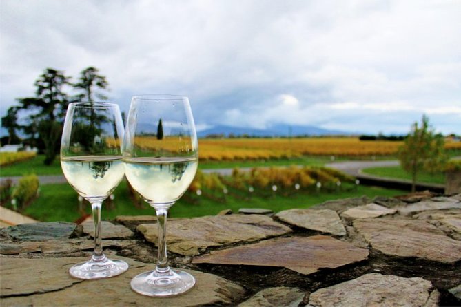 Progressive WINTER Wine and Gourmet Trail of Marlborough - Last Words