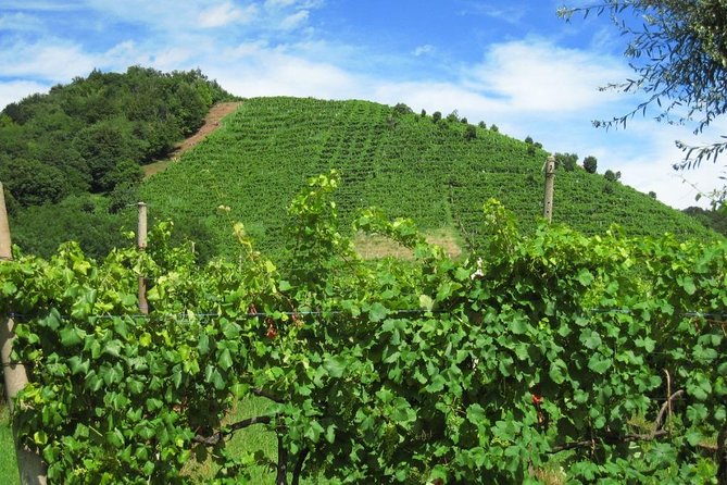 Prosecco Road" Tour With Winery Visits, Tastings, and Lunch  - Treviso - Last Words