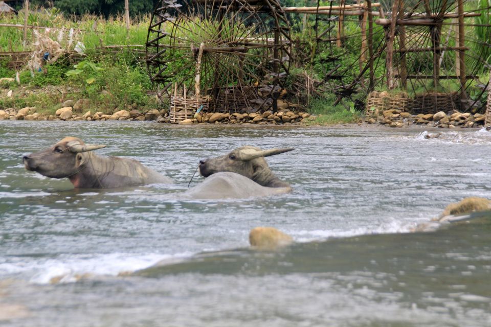 Pu Luong Offbeat Trekking Tour 2 Days 1 Night With Limousine - Last Words