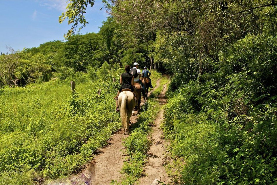 Puerto Vallarta Horseback Riding - Common questions