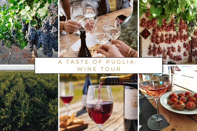 Puglia Winery Tour and Wine Tasting From Trani  - Bari - Tour Duration