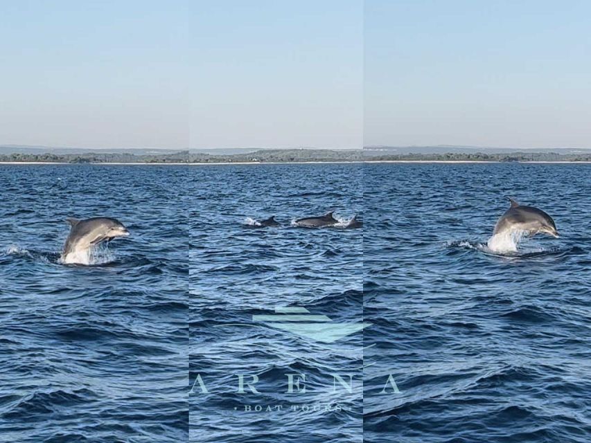 Pula: Brijuni Sunset Dolphin Watching Tour W/ Dinner/Drinks - Common questions