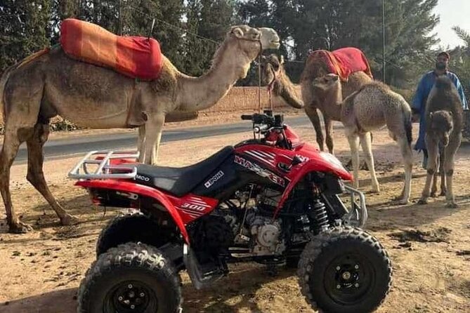 Quad Ride in the Palmeraie Marrakech - Common questions