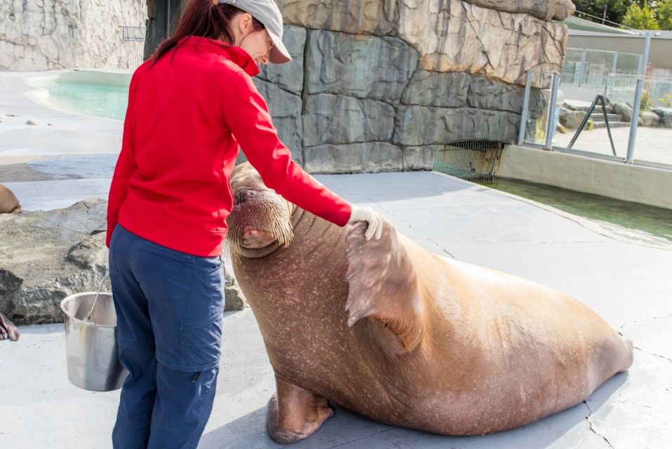 Quebec: Aquarium Du Quebec Entry Ticket - Accessibility Information