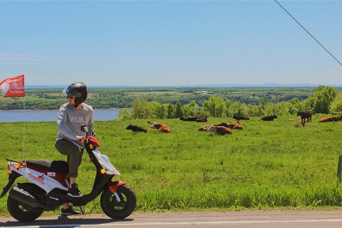 Quebec City : Single Scooter Rental - Ile Dorleans Agrotourism - Last Words