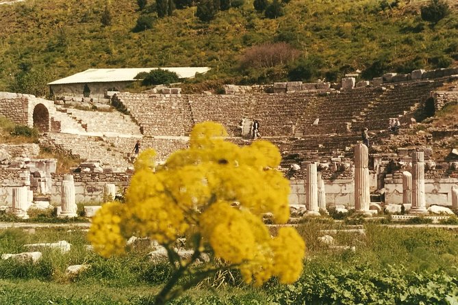 Quick-Ephesus Private Tour - Pricing Details