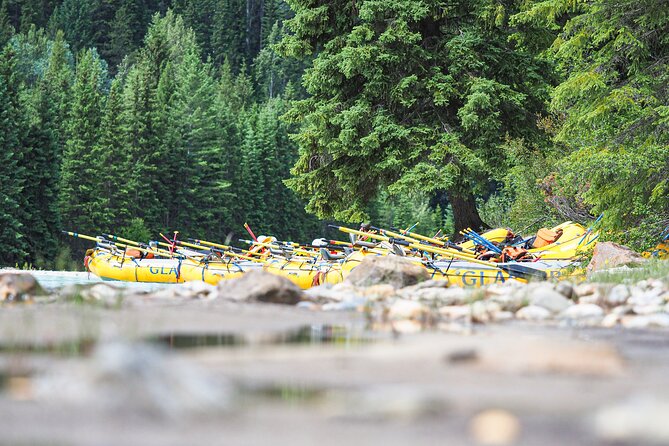 Rafting Adventure on the Kicking Horse River - Last Words