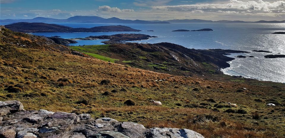 Rail Tour From Dublin: the Ring of Kerry - Last Words