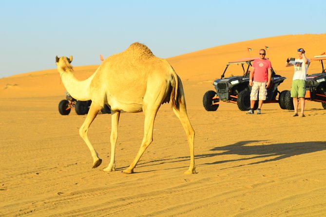 Ras Al Khaimah: Afternoon Desert Safari and BBQ Dinner - Common questions