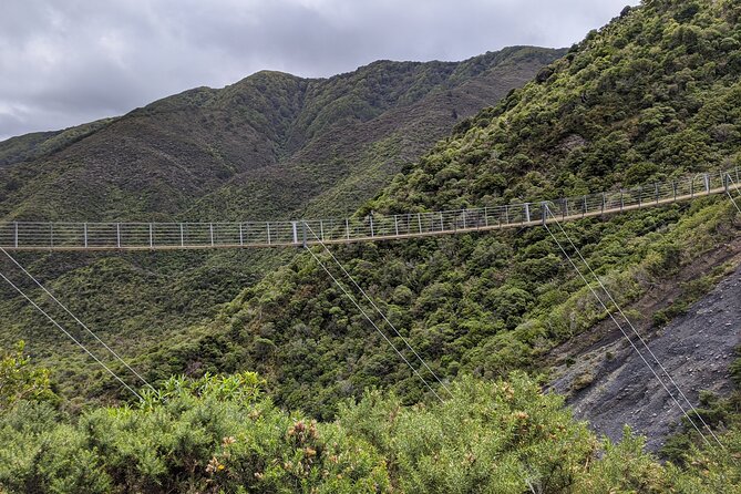 Remutaka Rail Trail Explorer - Ebike Cruise Ship Shore Excursion - Uncover Remutakas Rich History