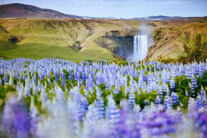 Reynisfjara and Sólheimajökull Glacier From Reykjavik - Common questions