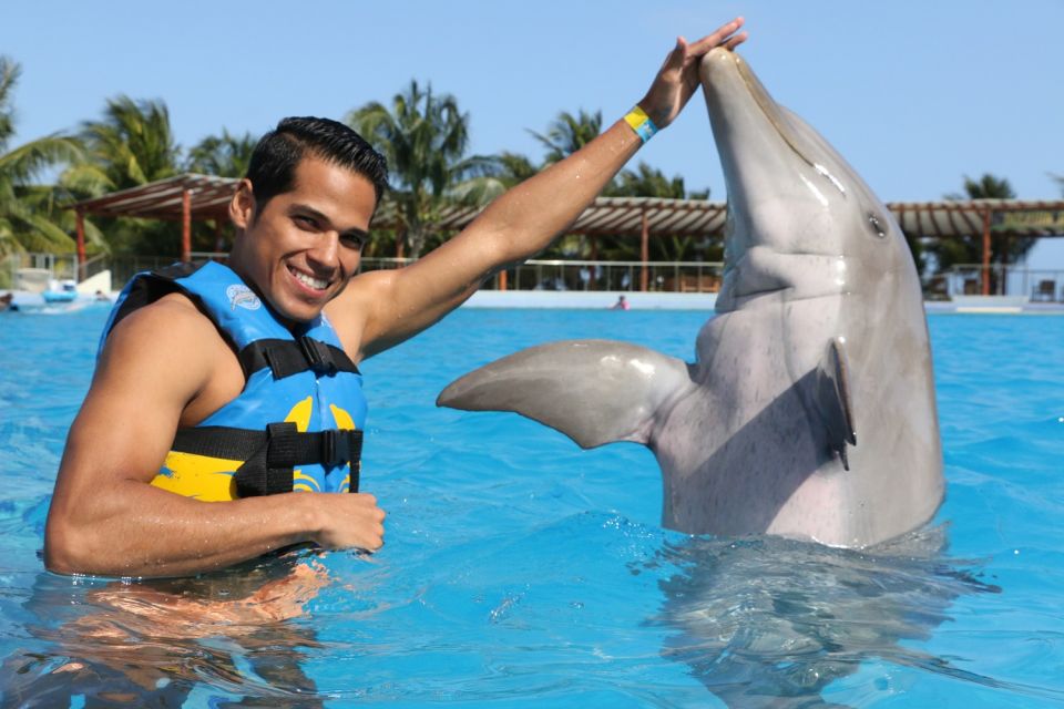 Riviera Maya: Dolphin Encounter With Beach Club Access - Common questions