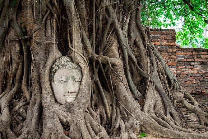 Rolls Royce Exclusive : Ayutthaya Temples & Ancient City Tour (Multi Languages) - Customer Experience