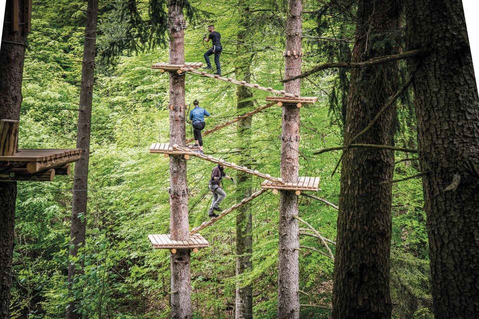 Rope Park Interlaken: Climbing Adventure With Entry Ticket - Additional Activities Available