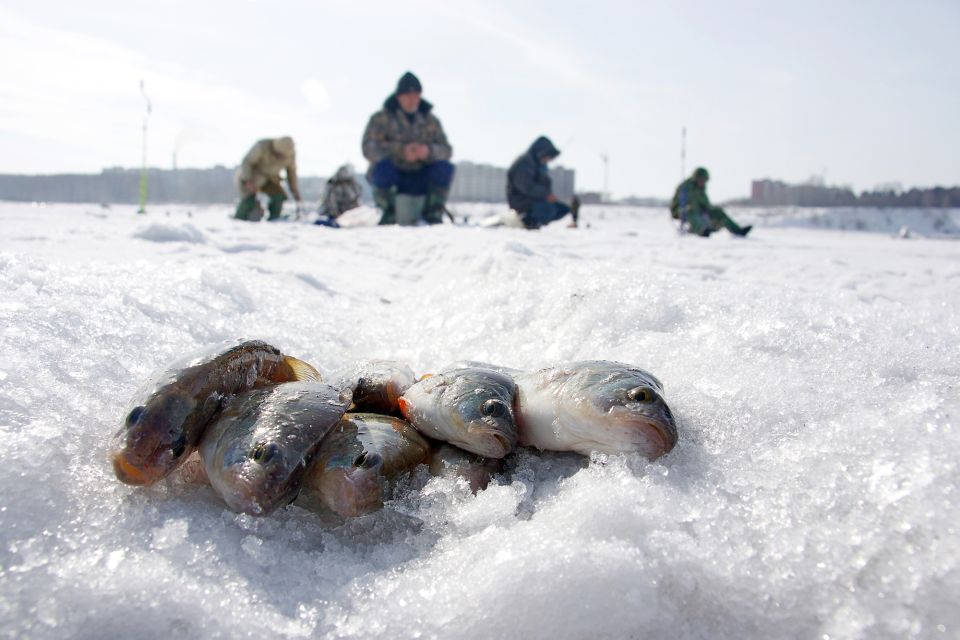 Rovaniemi: Arctic Circle Ice Fishing Experience - Common questions