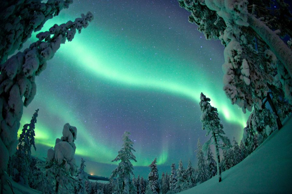 Rovaniemi: Aurora Borealis Hunting Photo Tour - Last Words